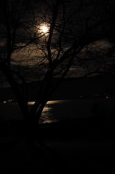 Mond2