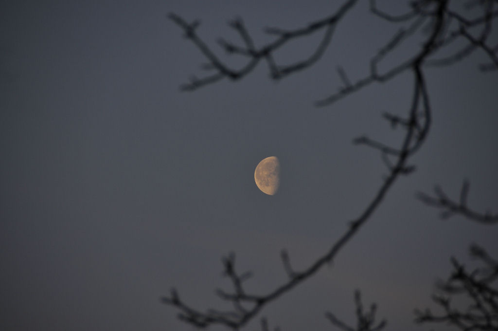 mond4