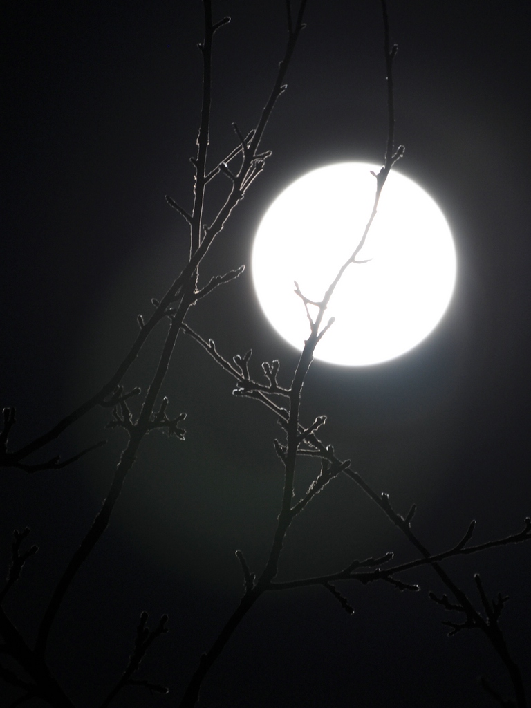Mondlicht-Experiment

D5000 / Sigma 70-300 DG APO

300.0mm / f/5.6 / 0.500s (1/2) / ISO 200