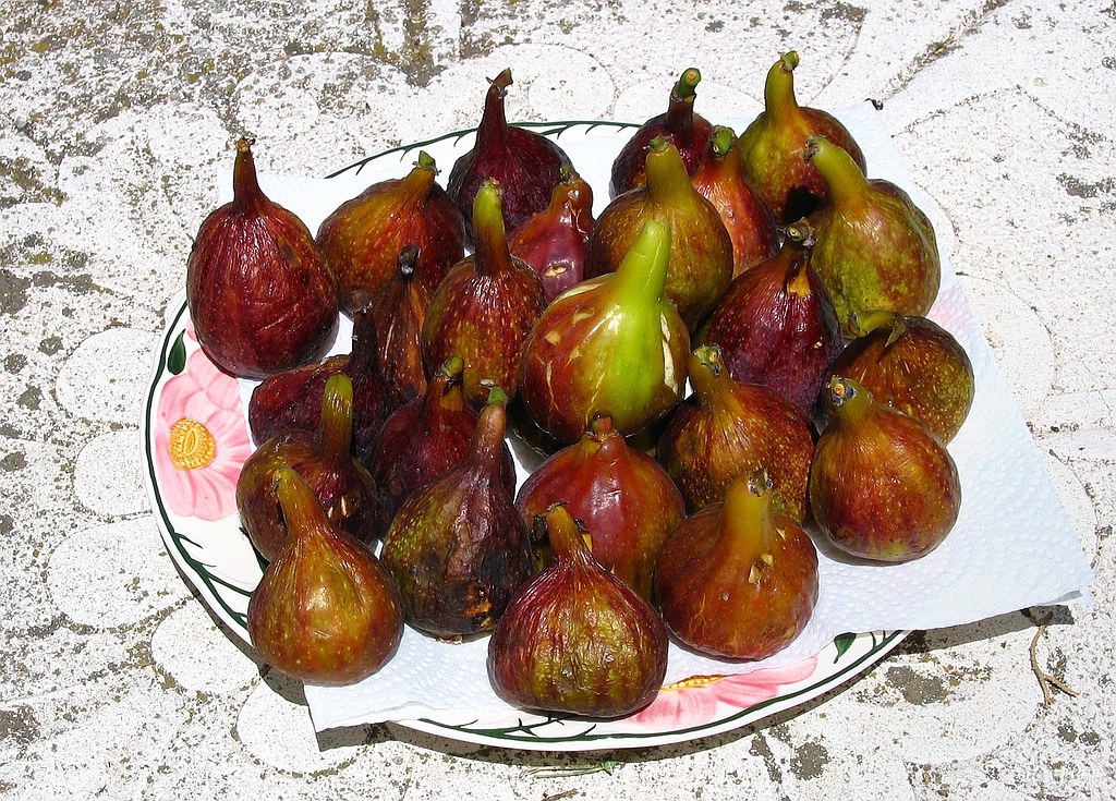 Montespertoli 2