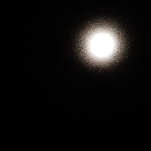 moon extrem v1