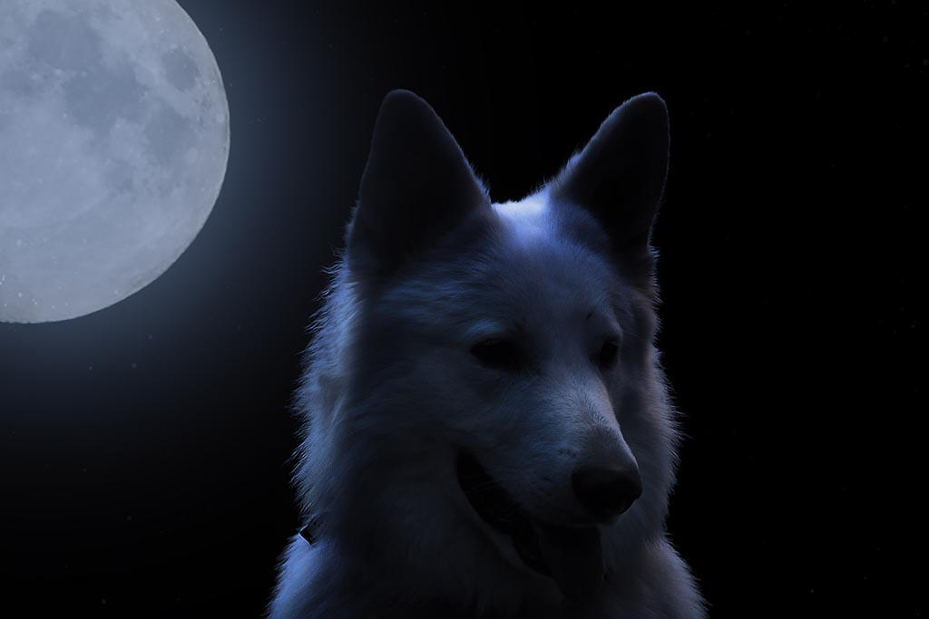 moon lucky