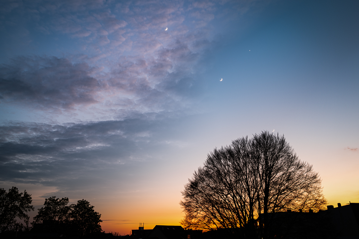 Moonshot