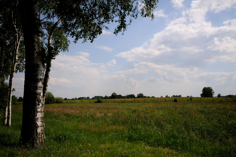 moor 6 JKK 0544 7534