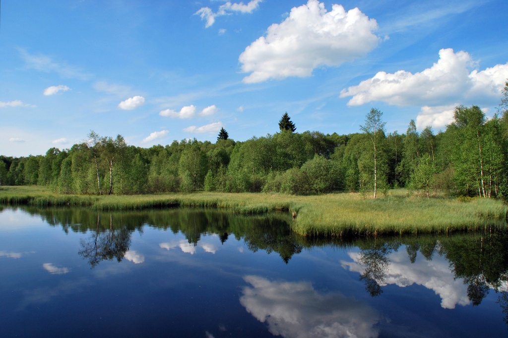 Moorlehrpfad, Sandberg