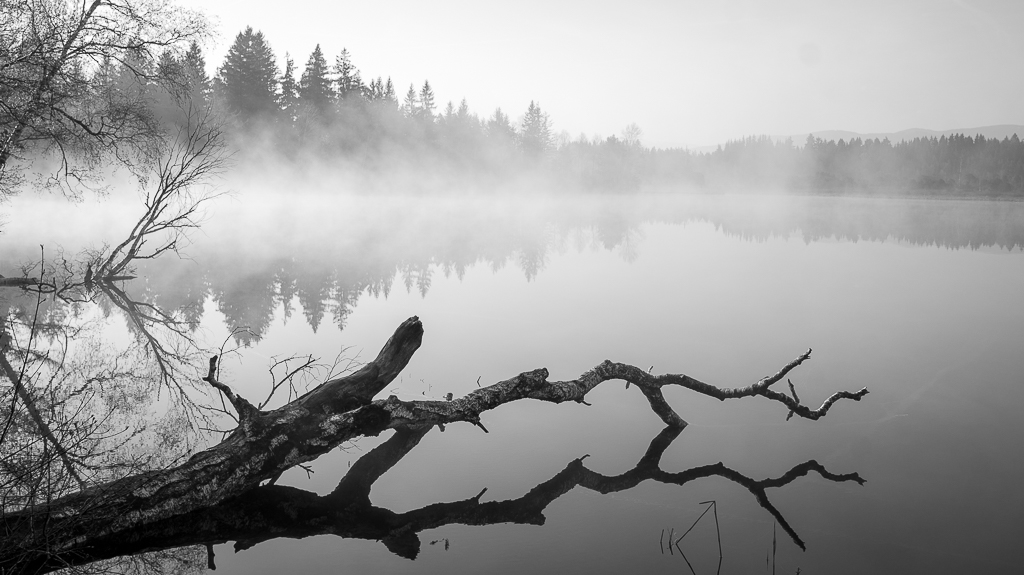 Moorsee am Morgen sw