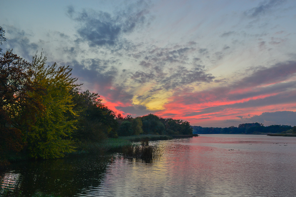 Moorteich