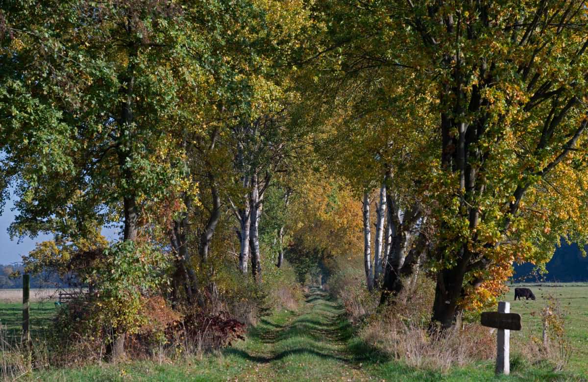 Moorweg 4.jpg