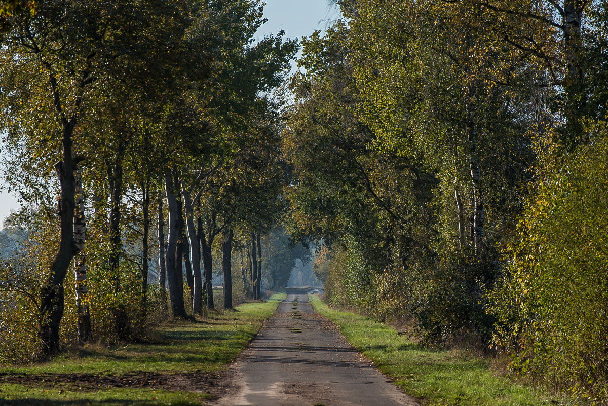 Moorweg.jpg