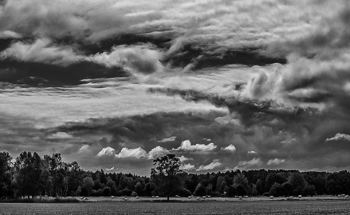 Moorwolken (1 von 1).JPG