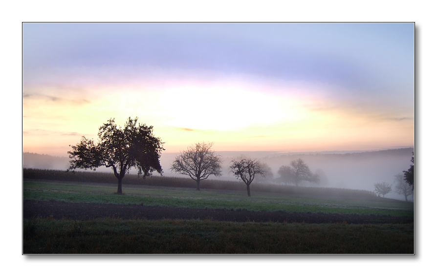 morgen 3