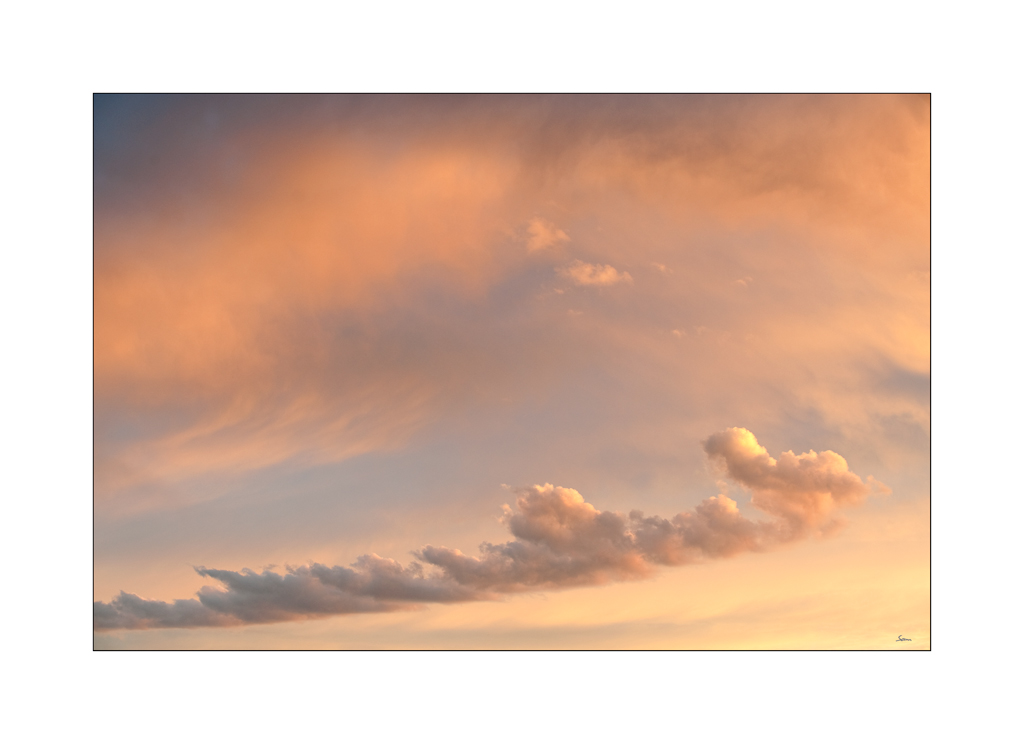 MorgenDSC 0777