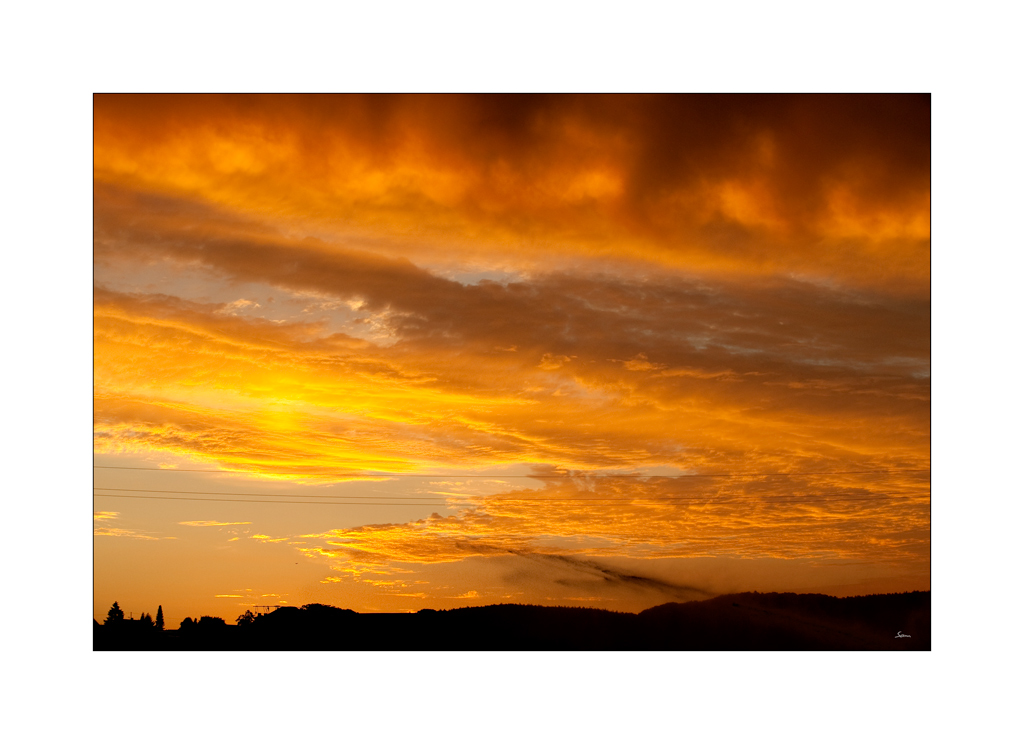 MorgenDSC 0778