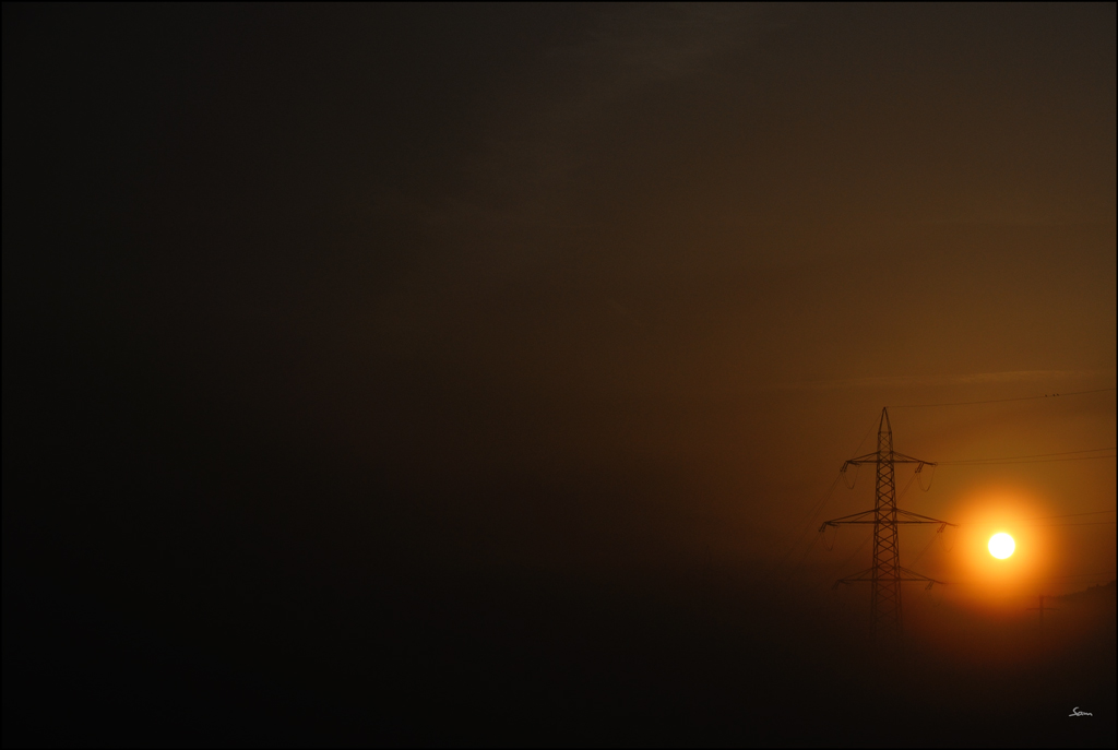 MorgenDSC 2295