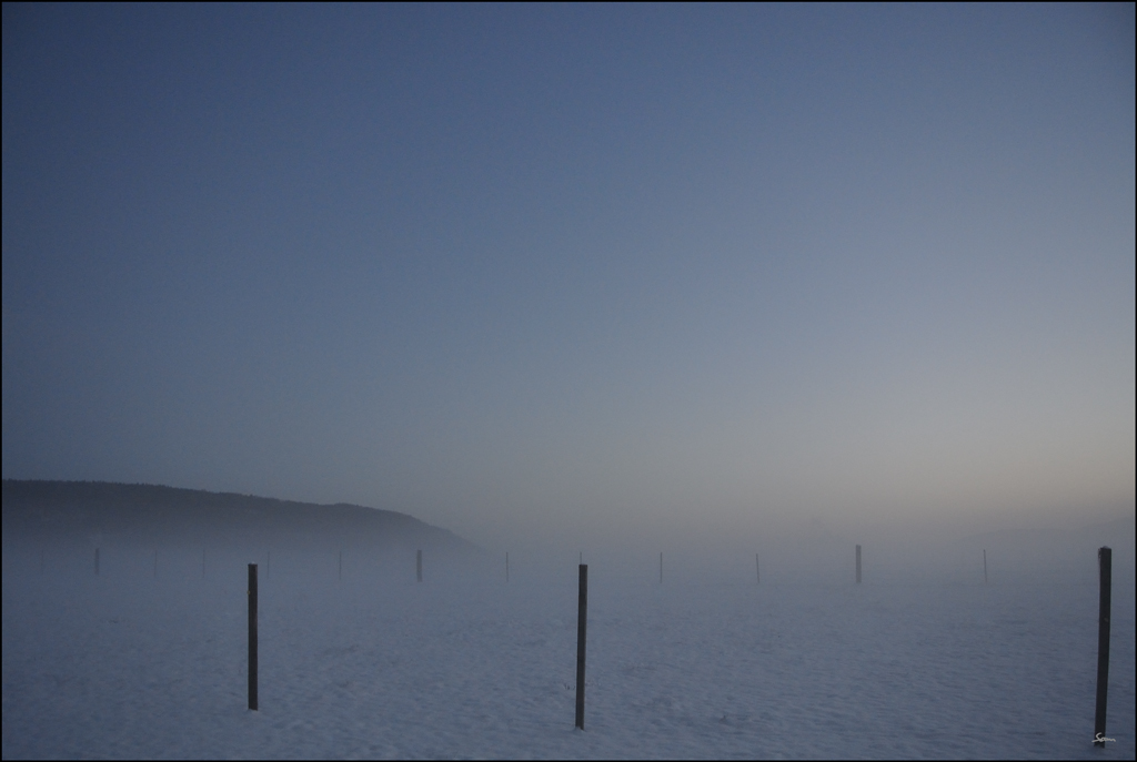 MorgenDSC 3007