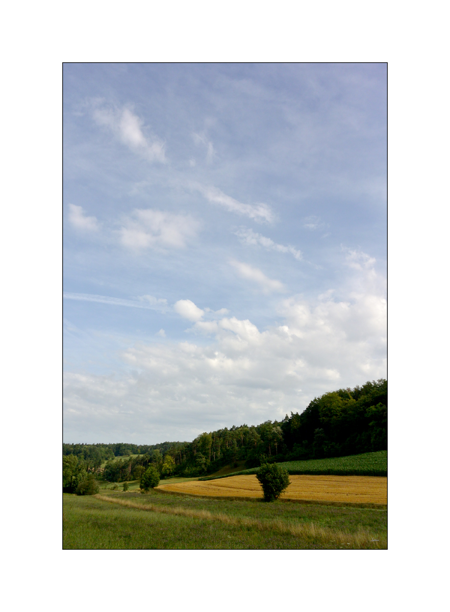 MorgenDSC 7344