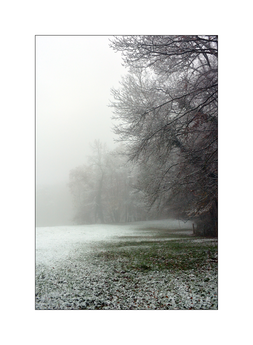 MorgenDSC 7761