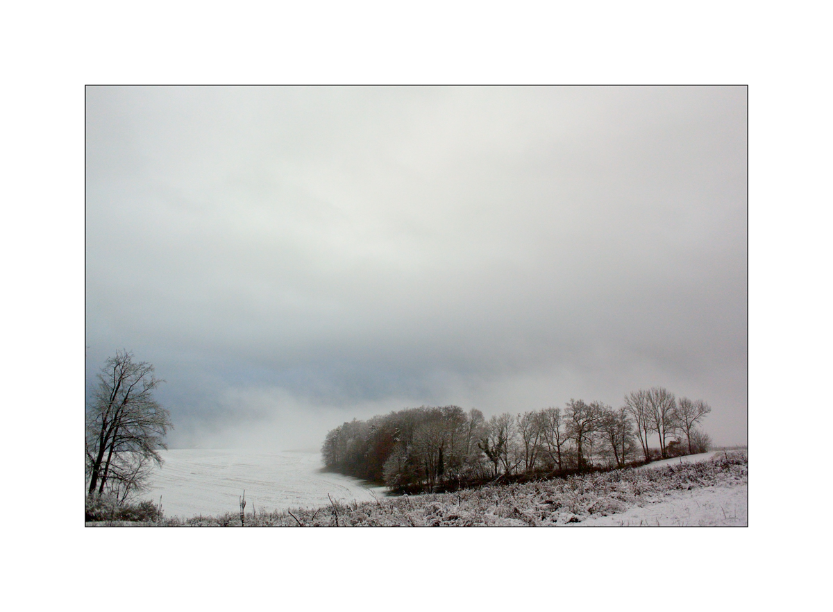 MorgenDSC 7764