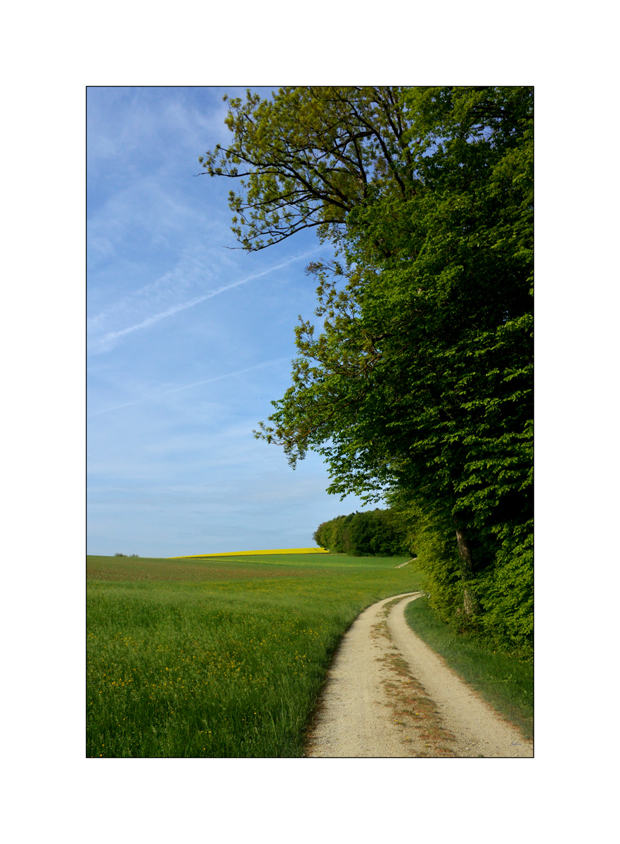 MorgenDSC 7971