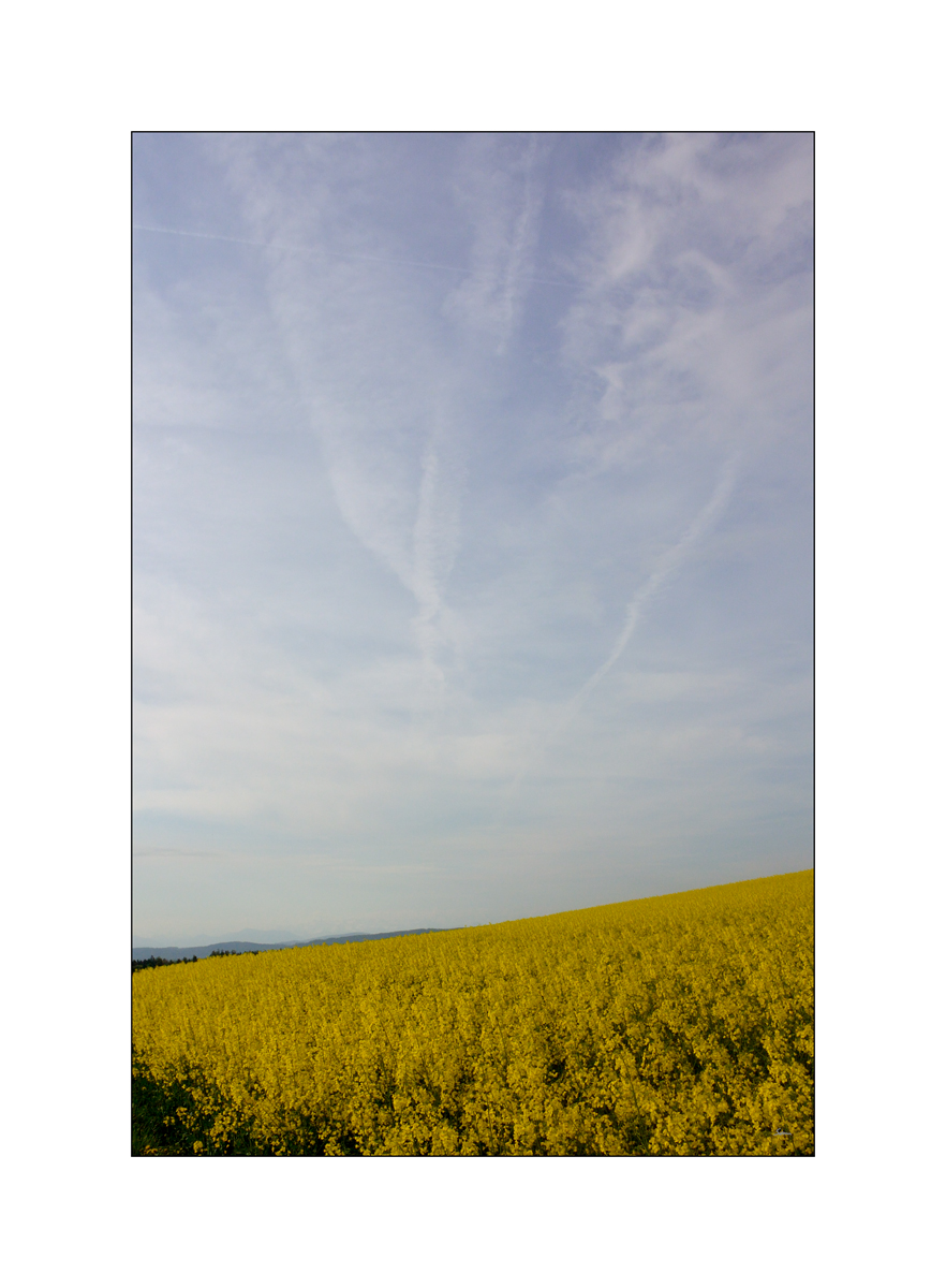 MorgenDSC 7974