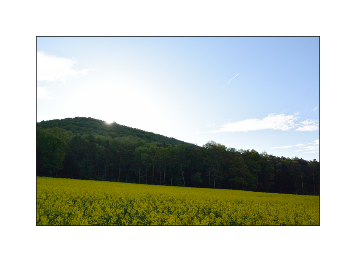 MOrgenDSC 7981