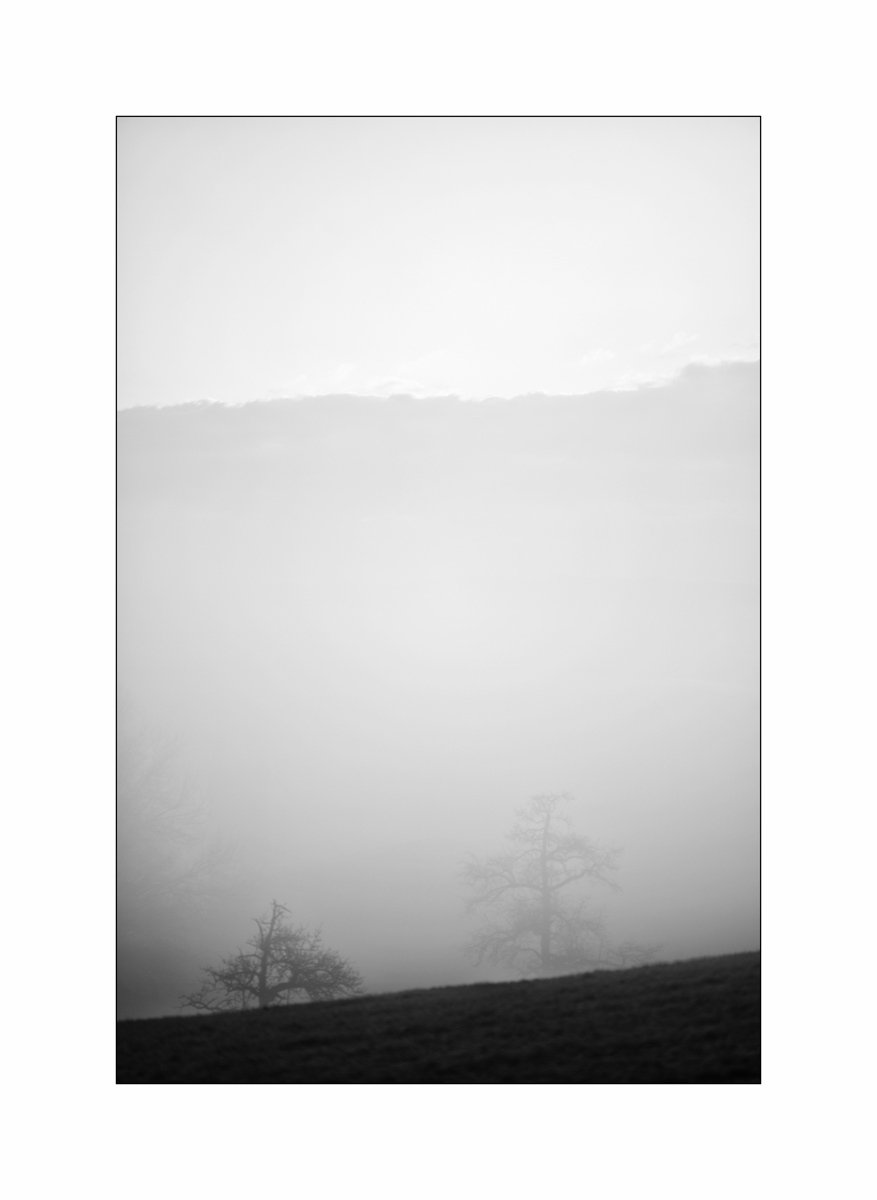 MorgenDSC_3146.jpg