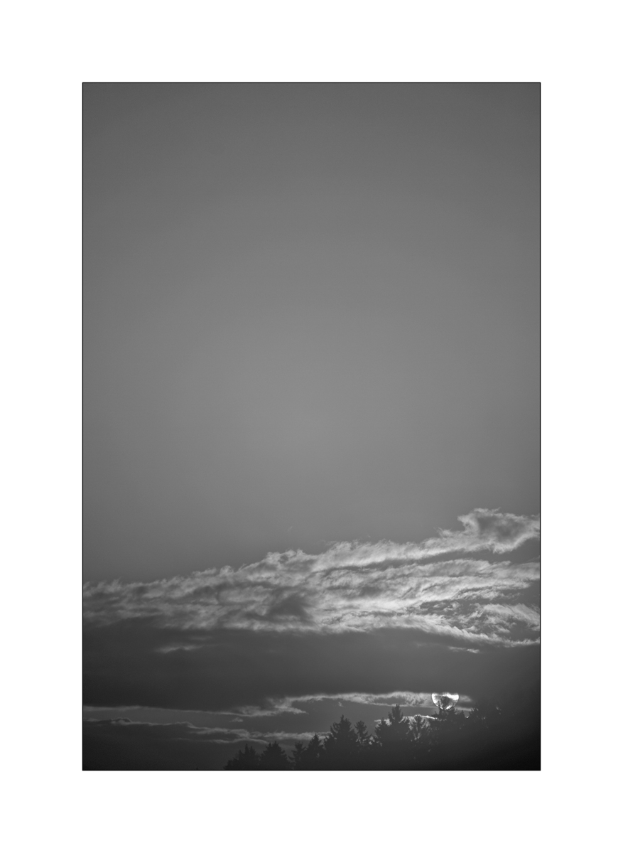 MorgenDSC_3148.jpg