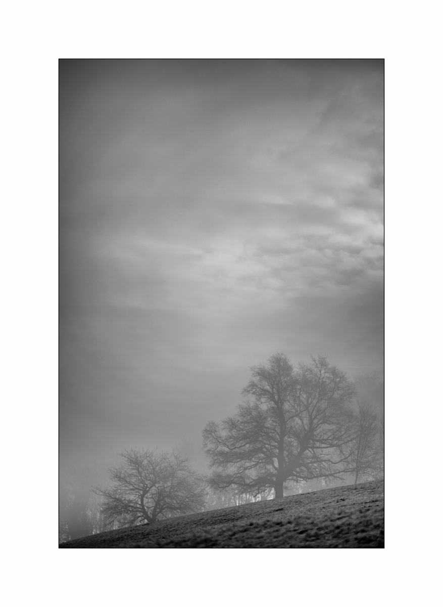 MorgenDSC_3153.jpg