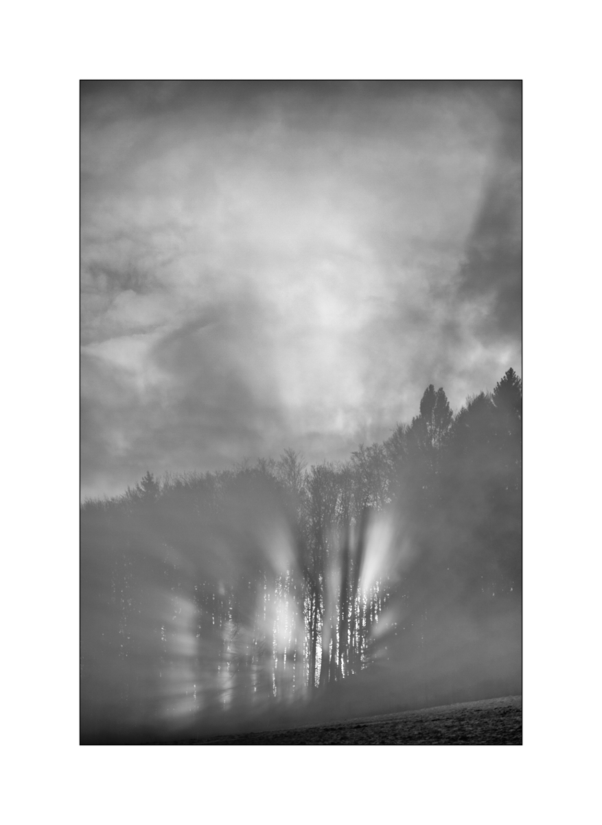 MorgenDSC_3154.jpg