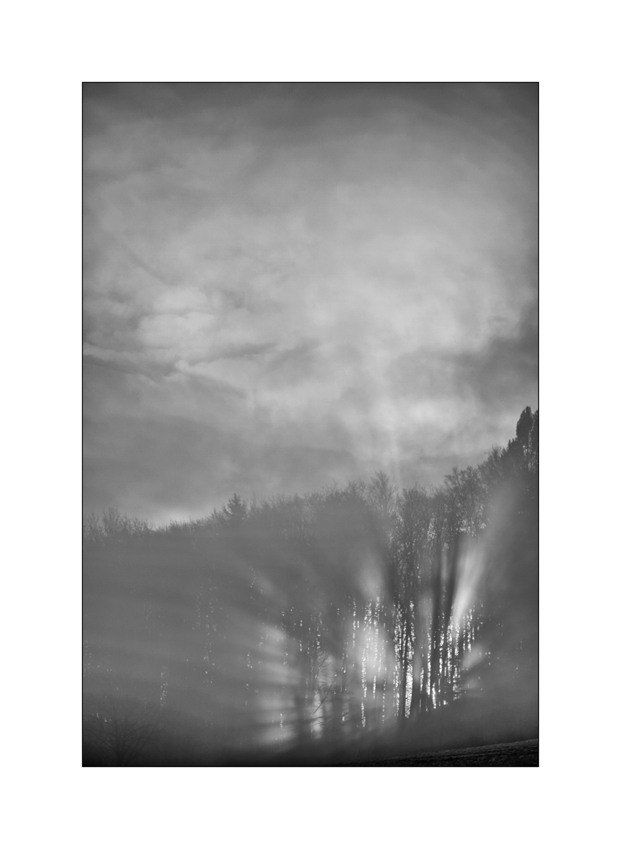 MorgenDSC_3155.jpg