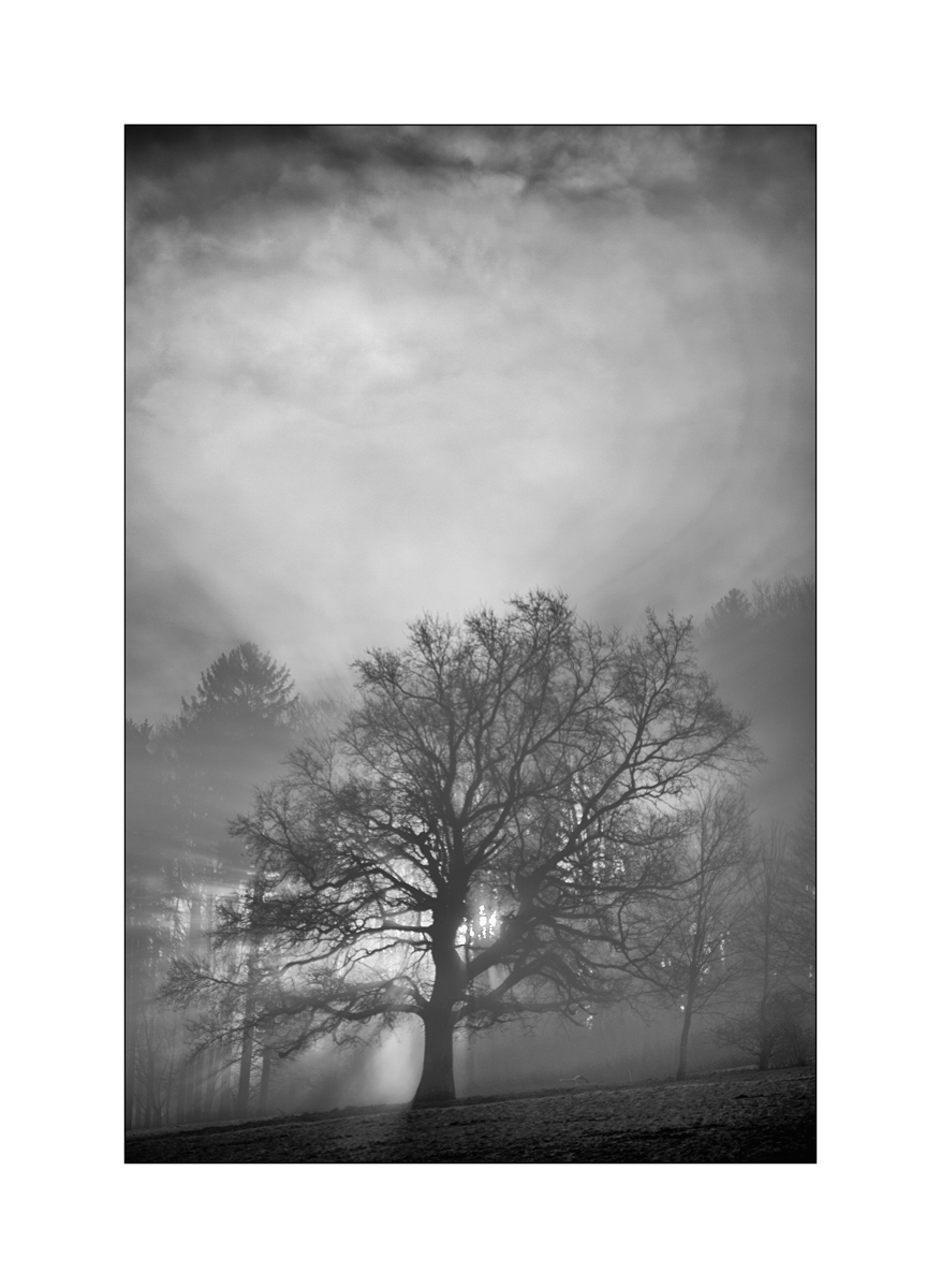 MorgenDSC_3156.jpg