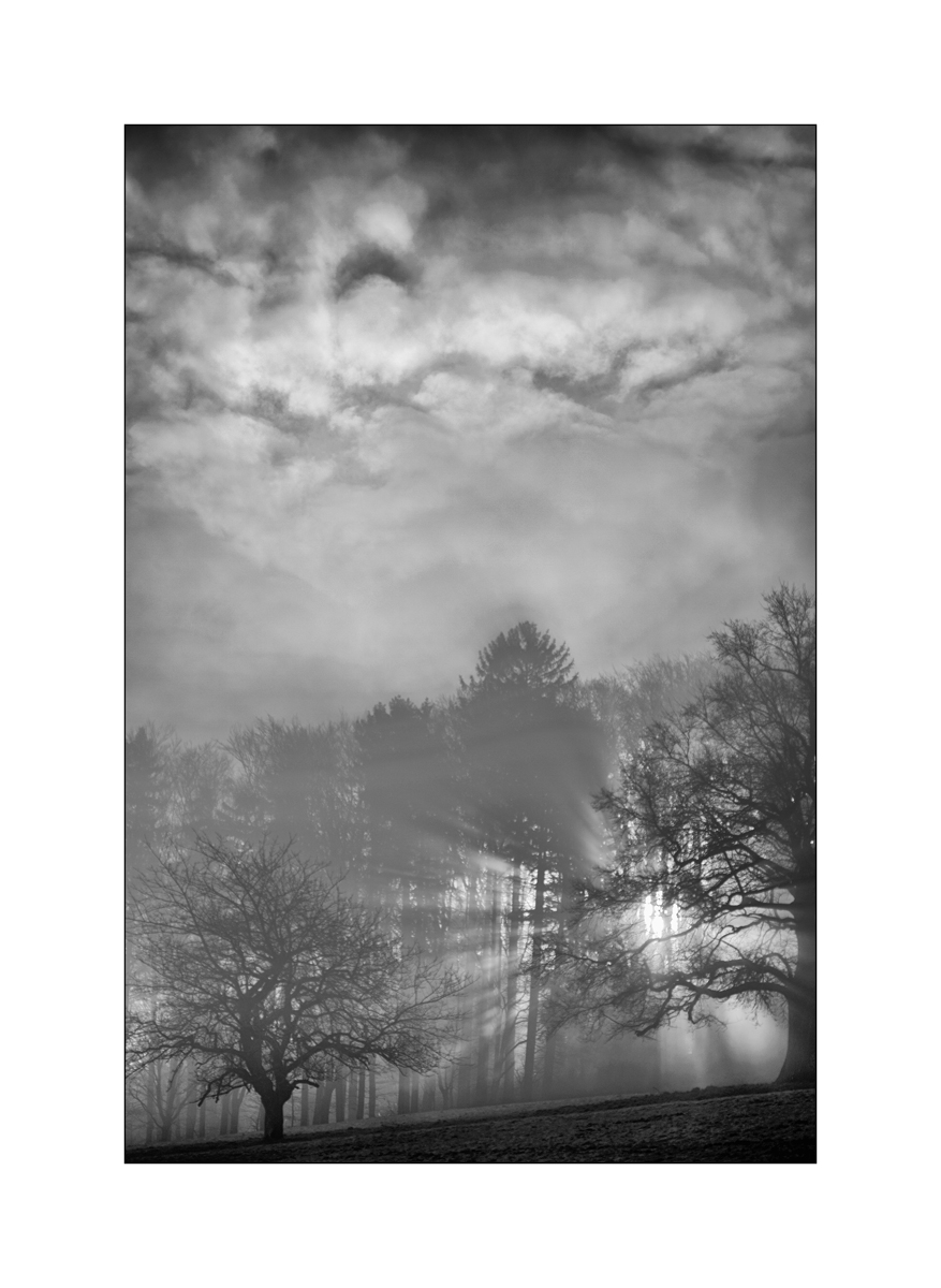 MorgenDSC_3157.jpg