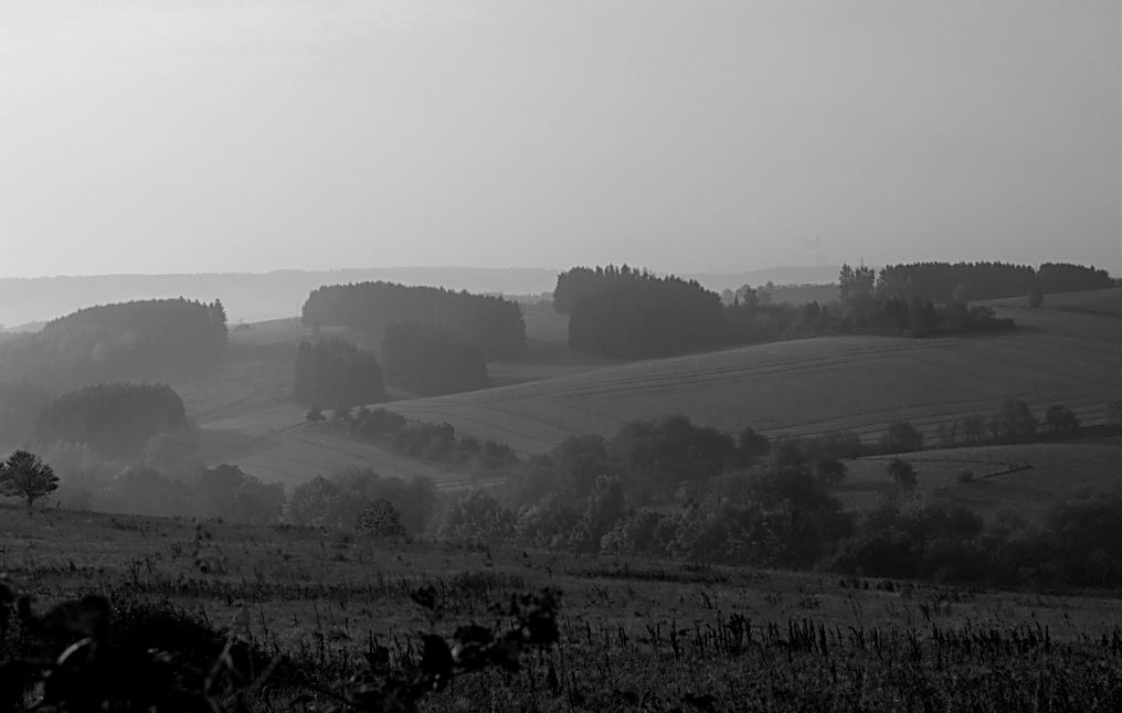 Morgendunst 1804