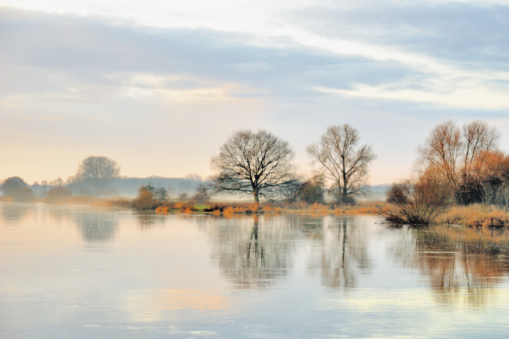 Morgenglühen
