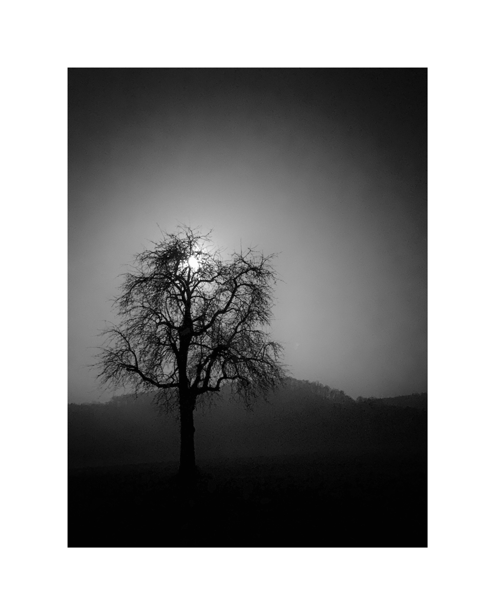 MorgenIMG 1146