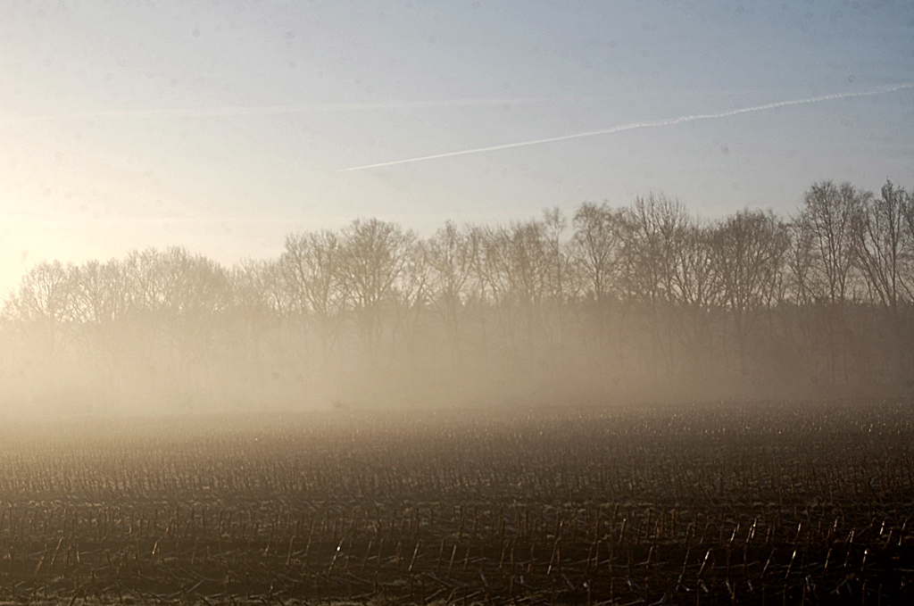 Morgenlicht 002