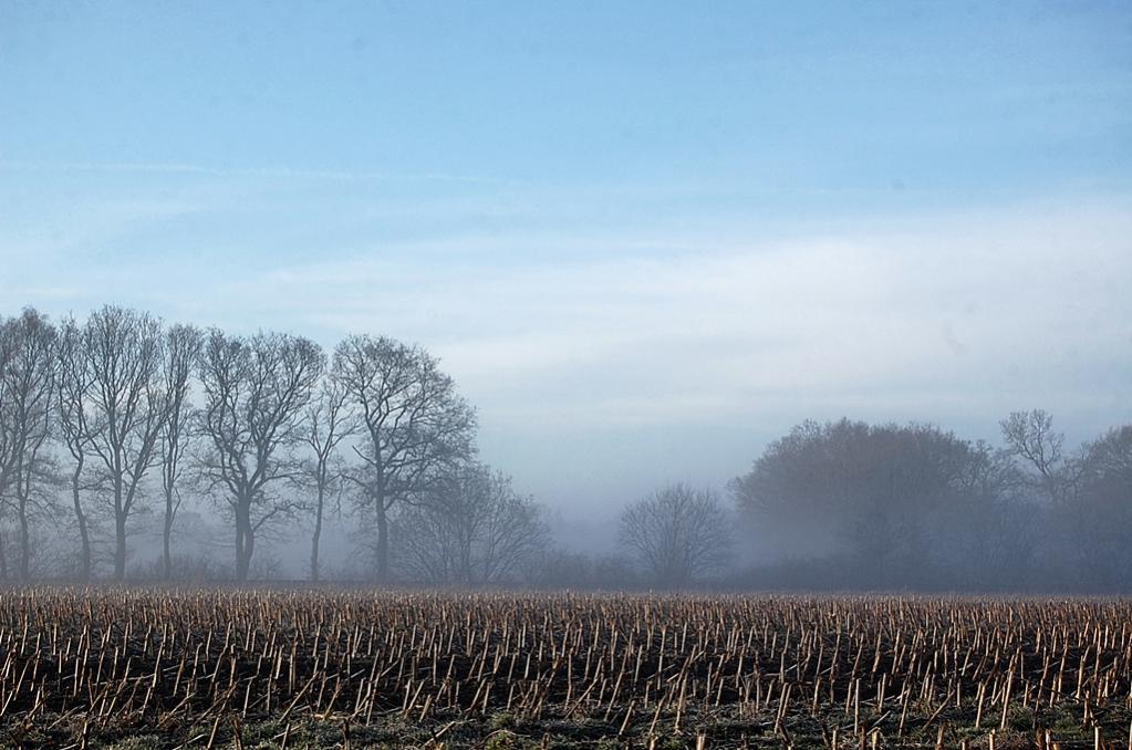 Morgenlicht 007