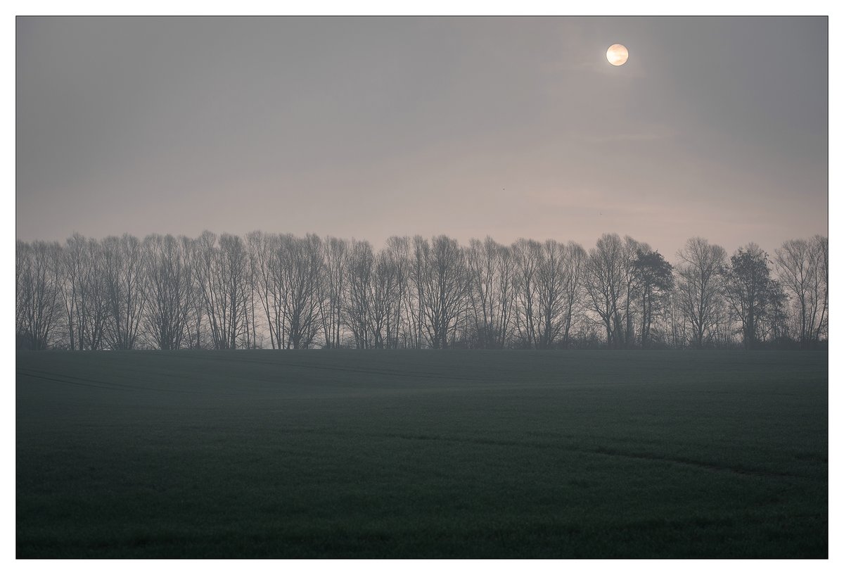 Morgenlicht und Nebel