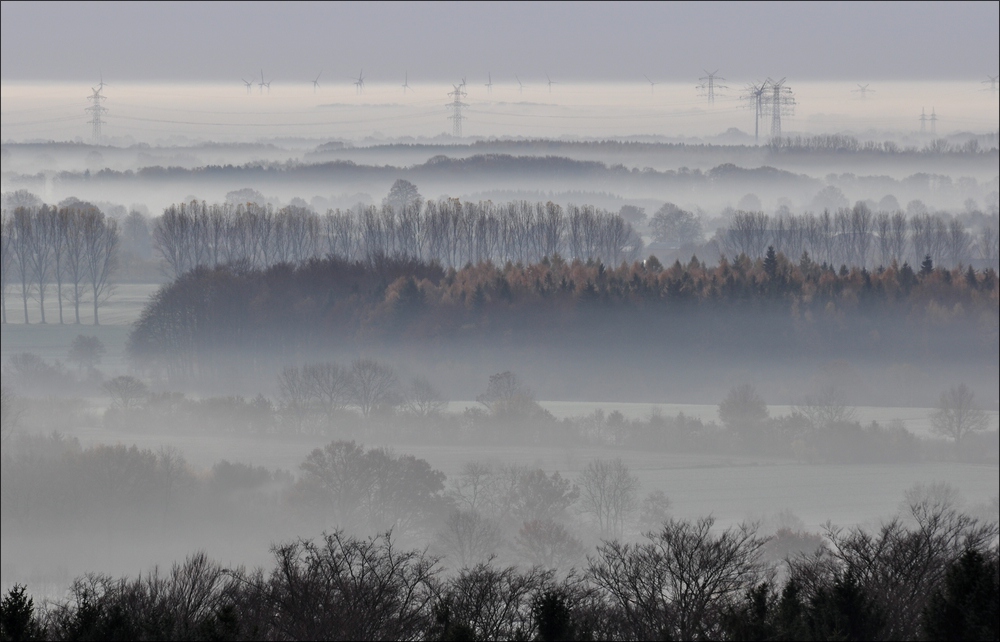 Morgennebel in der Hahnheide 09