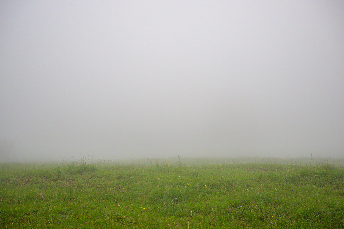 Morgennebel.jpg