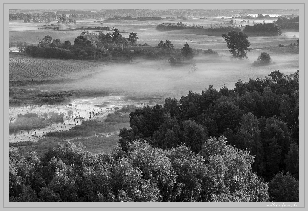 Morgennebel