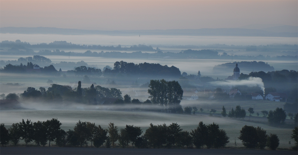 morgennebel