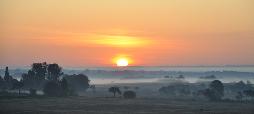 morgennebel2