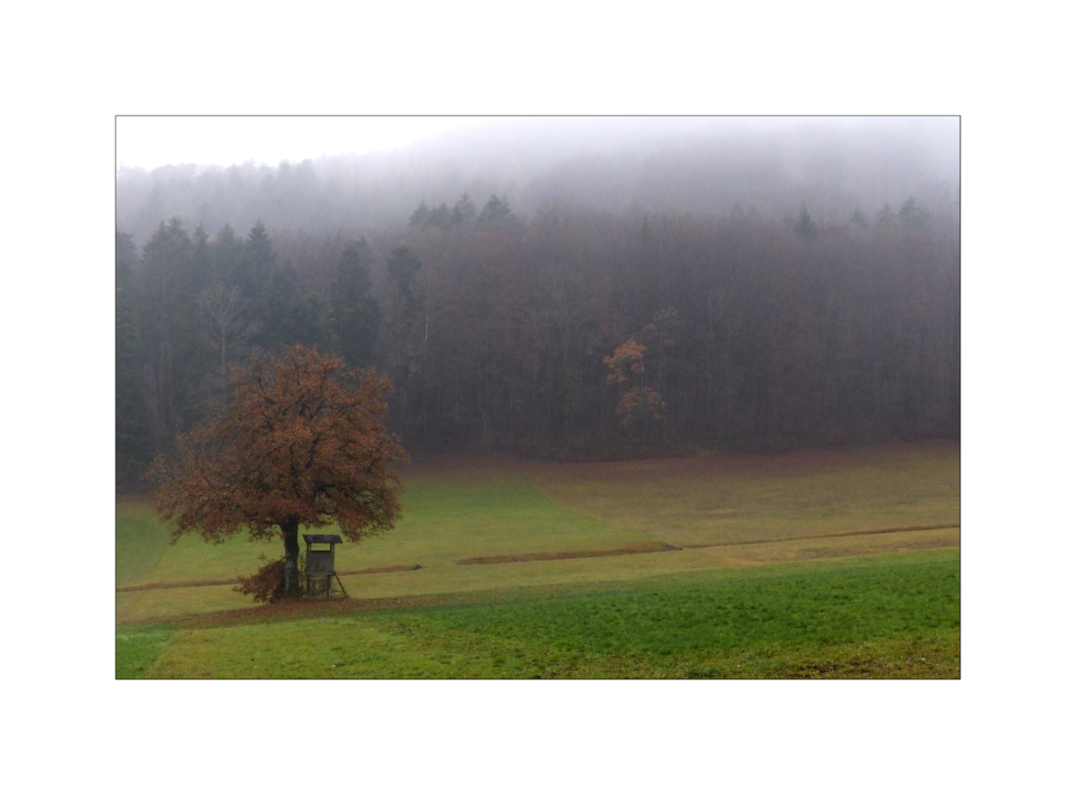 MorgenP1000413
