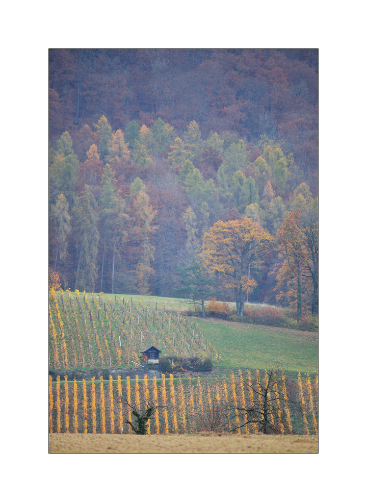 MorgenPZ1 0296
