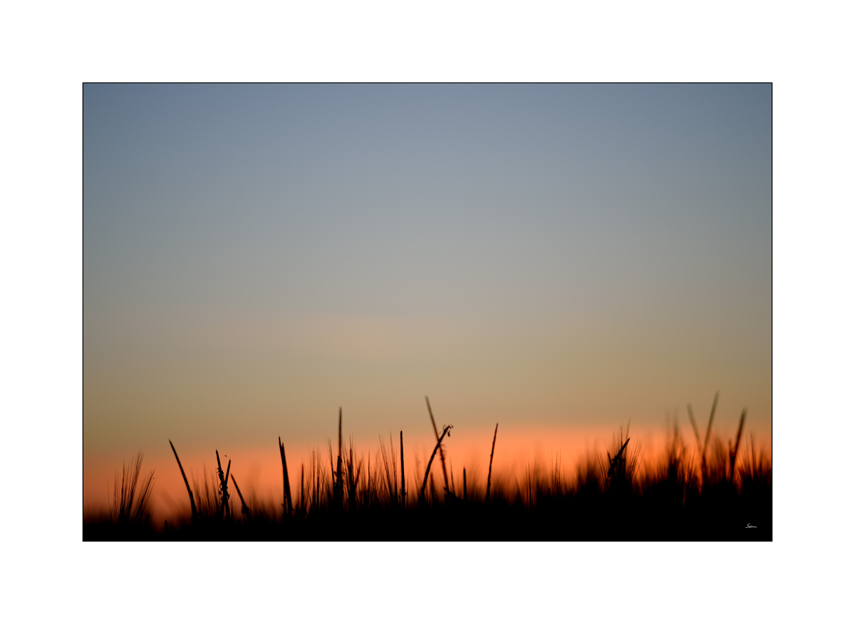 MorgenPZ1 1591