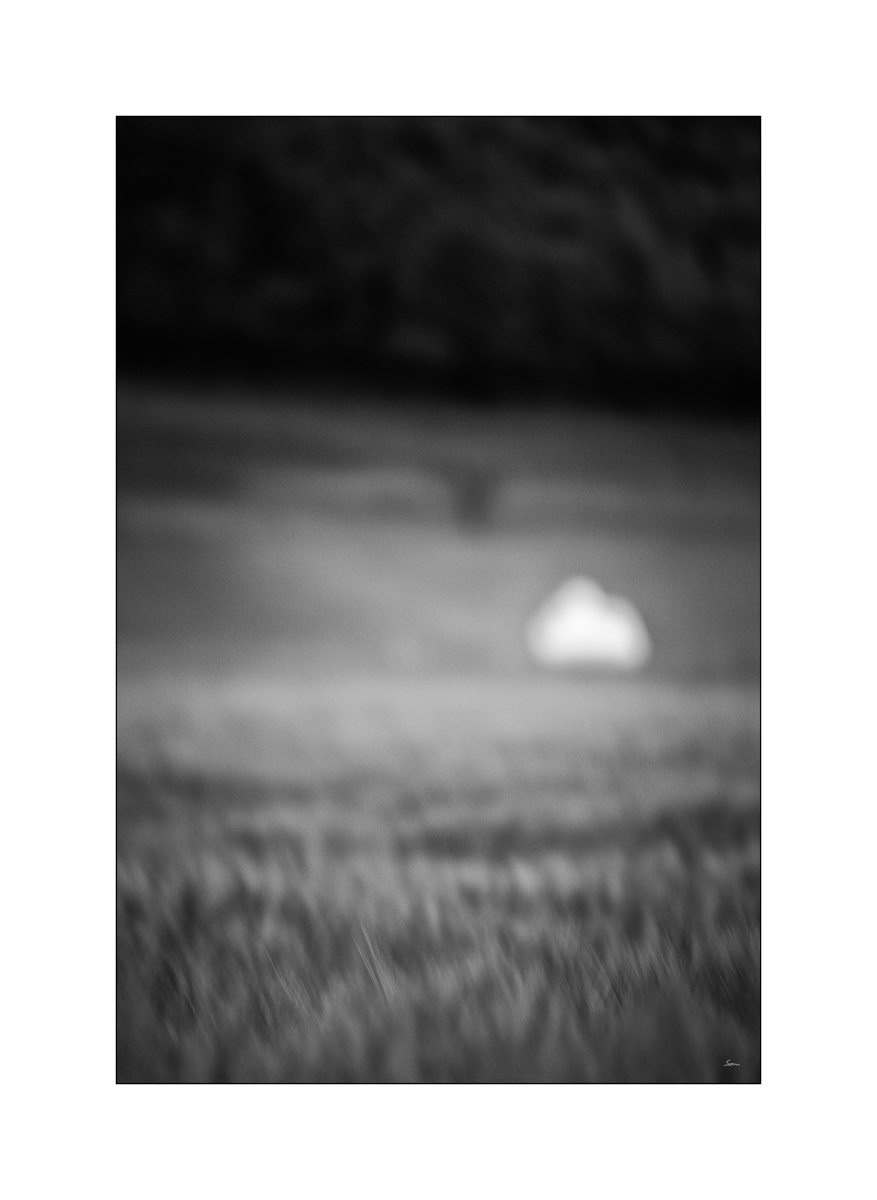 MorgenPZ1 1604