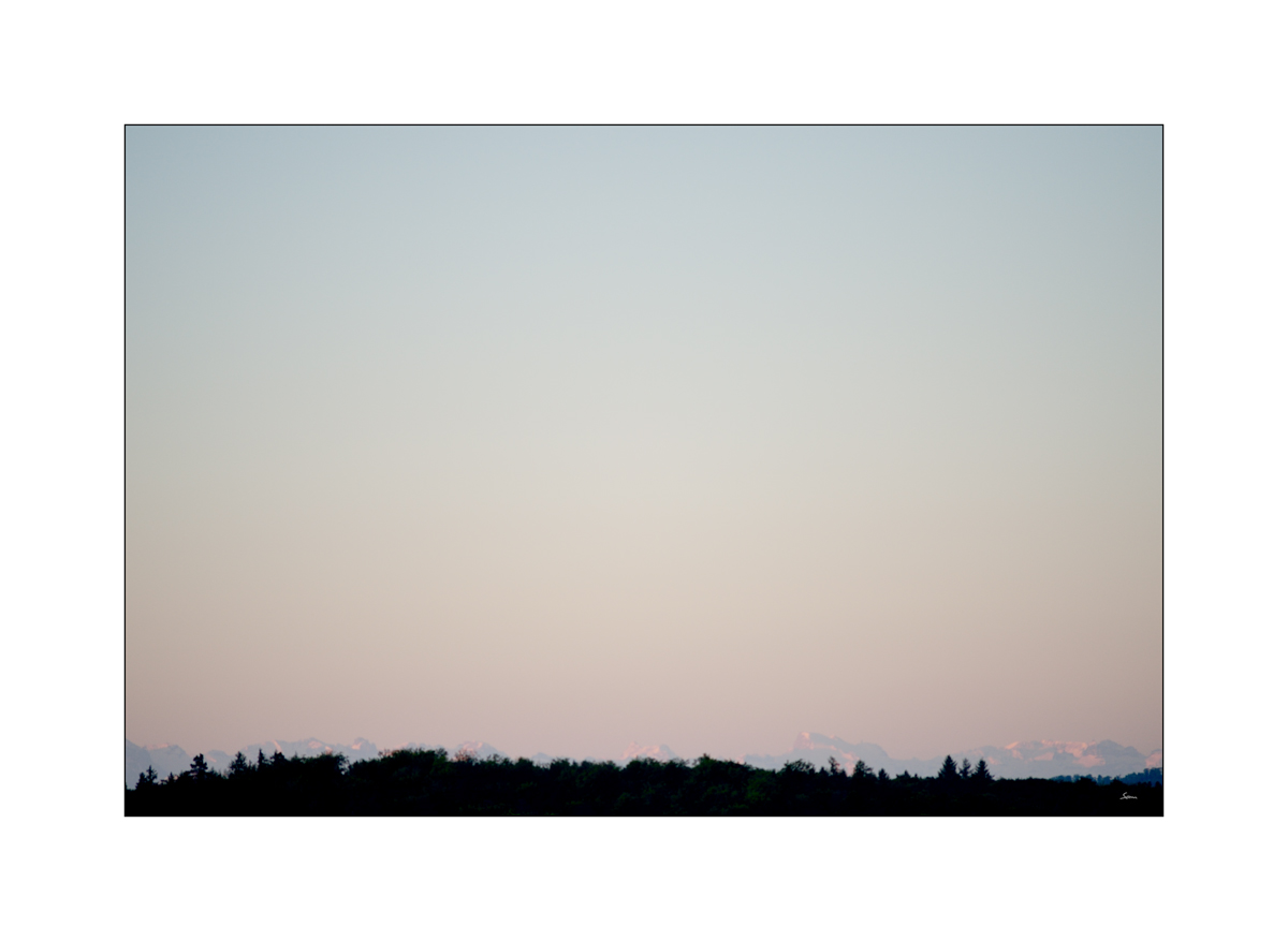 MorgenPZ1 1651