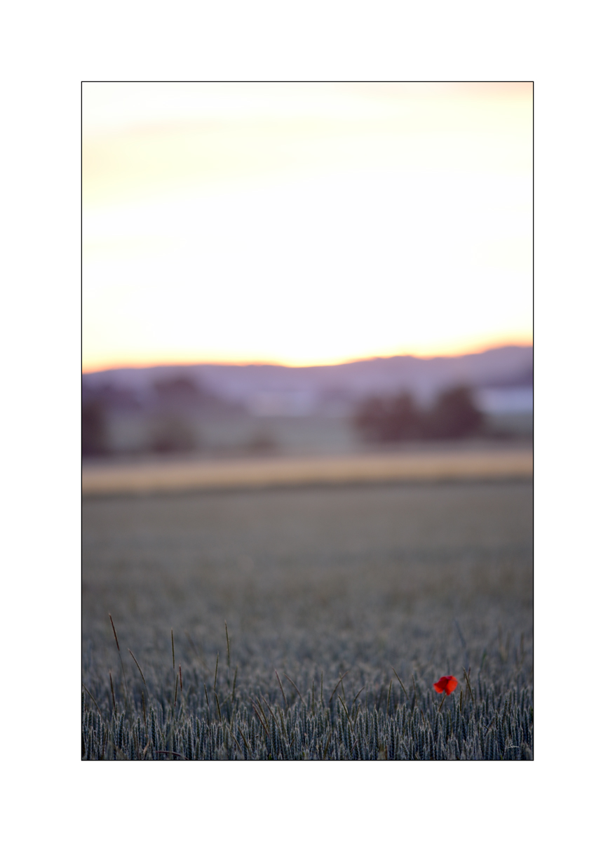 MorgenPZ1 2020