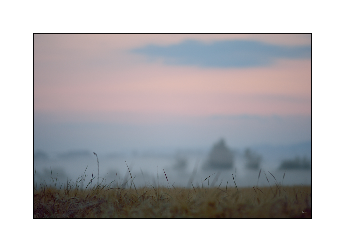 MorgenPZ1 2095